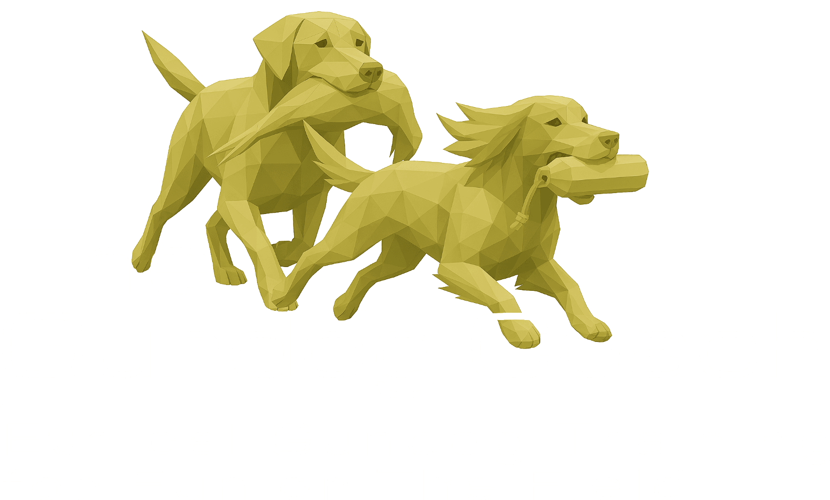The Gundog Coach