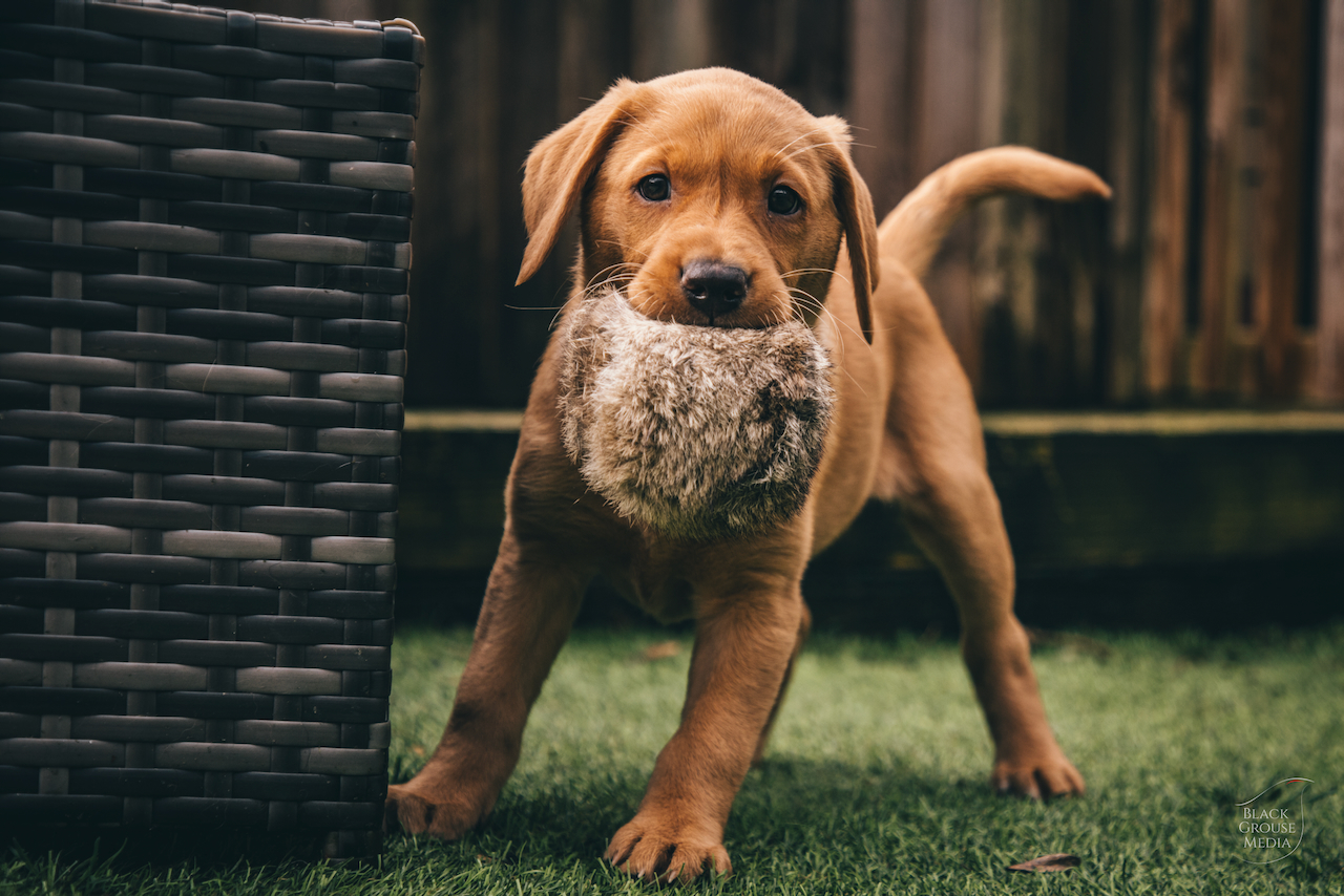 image showcasing a hairstyling tip for salons & spa