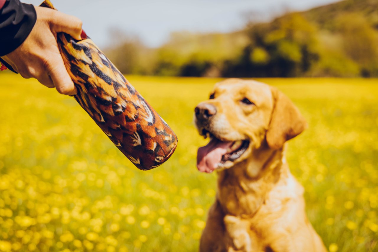image of dealership exterior
